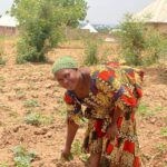 Neglected’ by government, Nasarawa women farmers resort to self-help, battle high cost of living